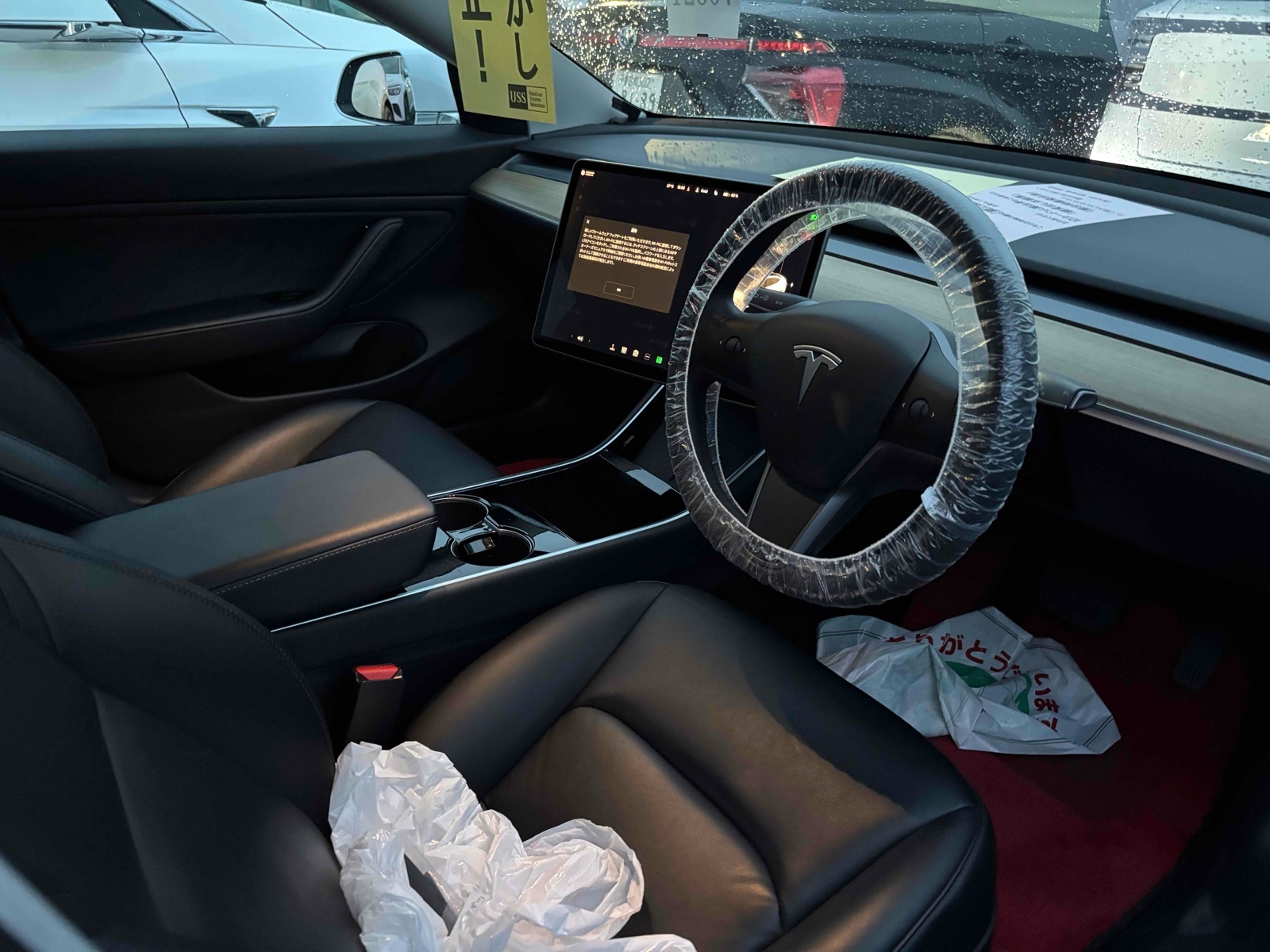TESLA MODEL 3 STANDARD RANGE PLUS Thumbnail 3