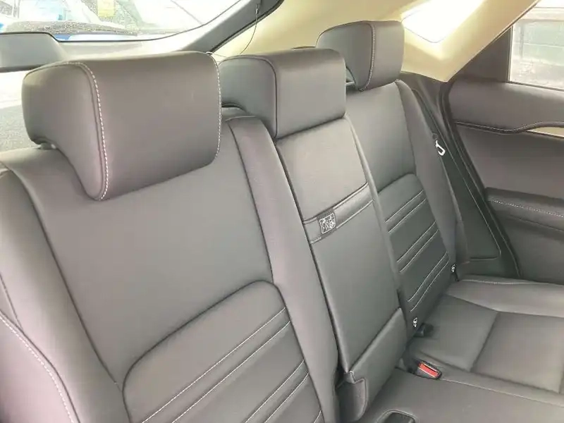 LEXUS NX NX300H I PACKAGE Thumbnail 9