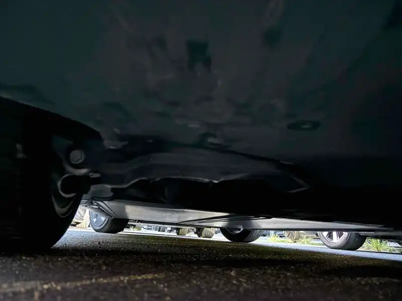 TESLA MODEL 3 STANDARD RANGE PLUS Thumbnail 14