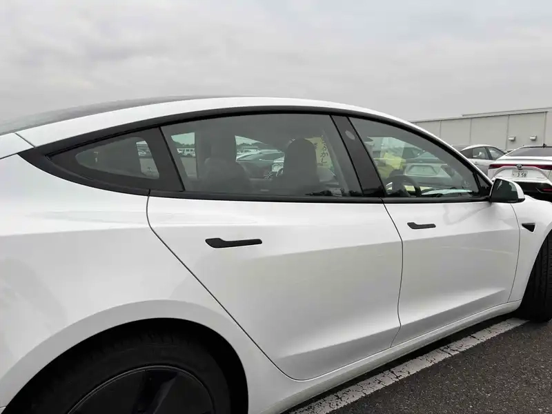 TESLA MODEL 3 STANDARD RANGE PLUS Thumbnail 11