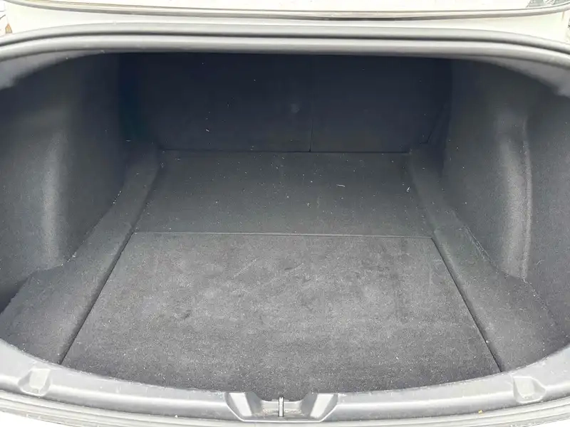 TESLA MODEL 3 STANDARD RANGE PLUS Thumbnail 9