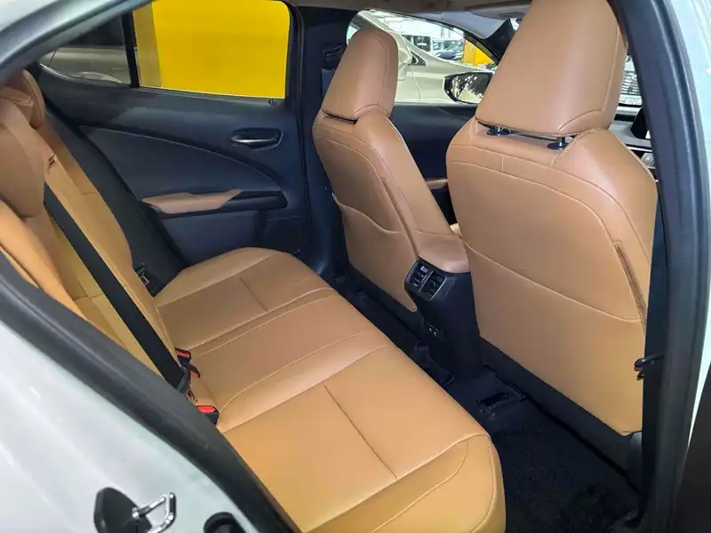 LEXUS UX UX250H VERSION C Thumbnail 4