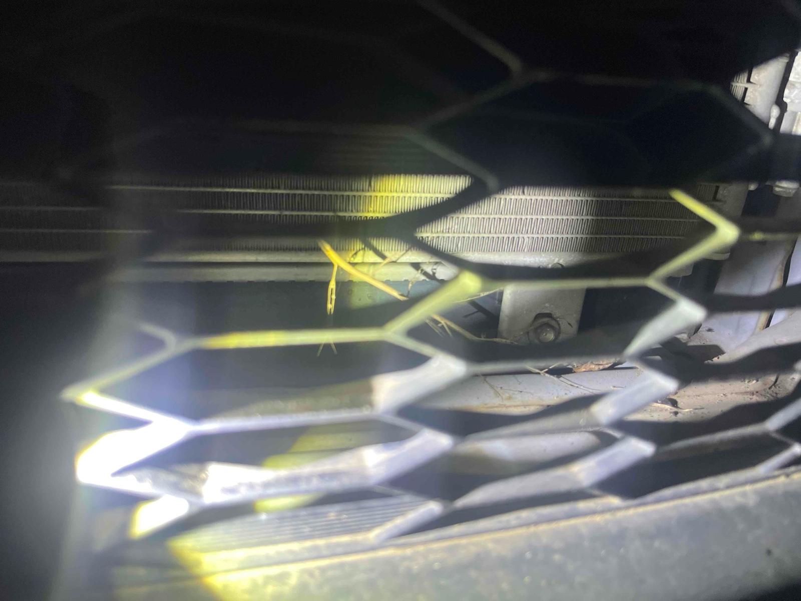 HONDA FIT HYBRID L PACKAGE Image 21