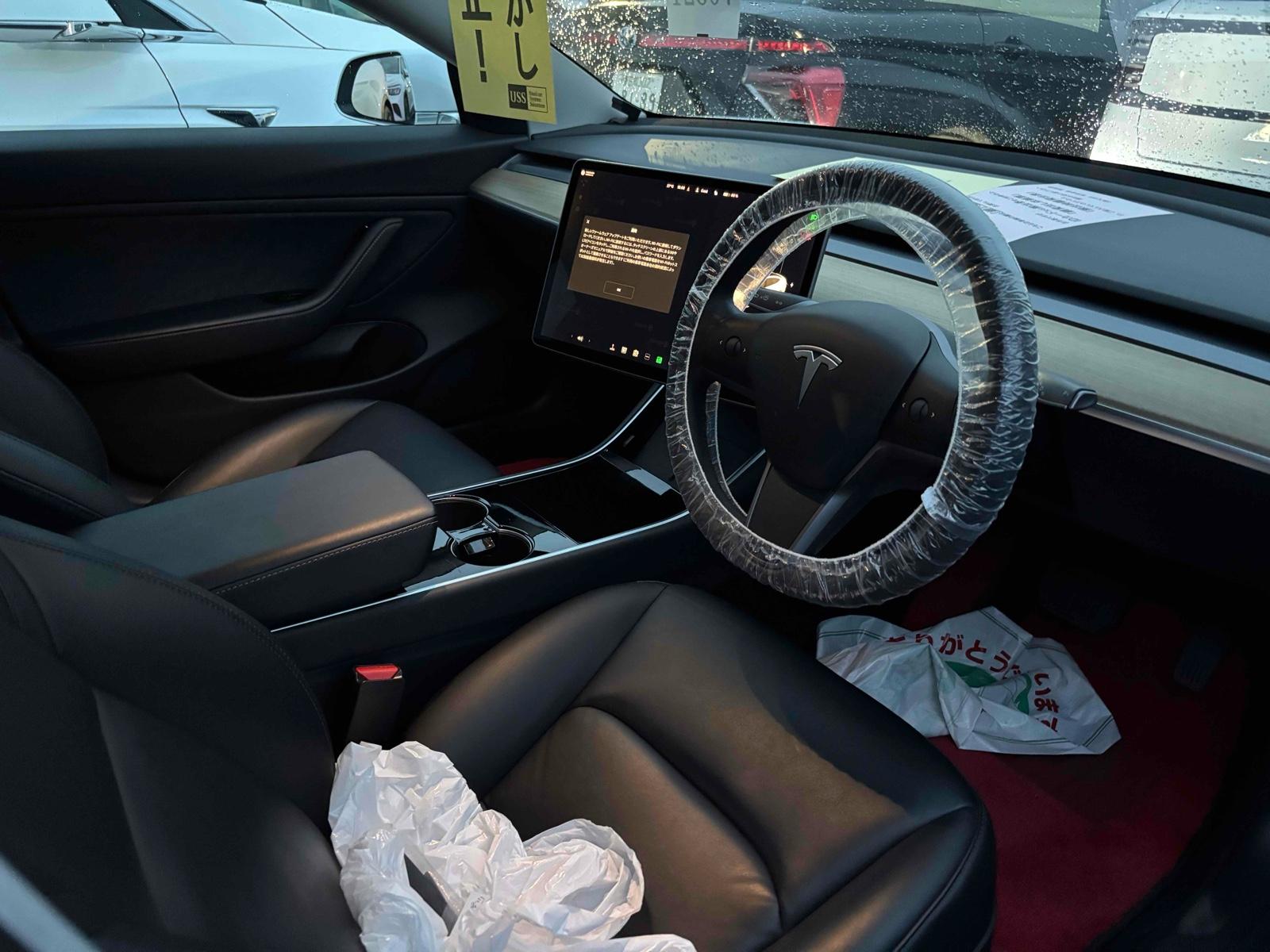TESLA MODEL 3 STANDARD RANGE PLUS Image 3