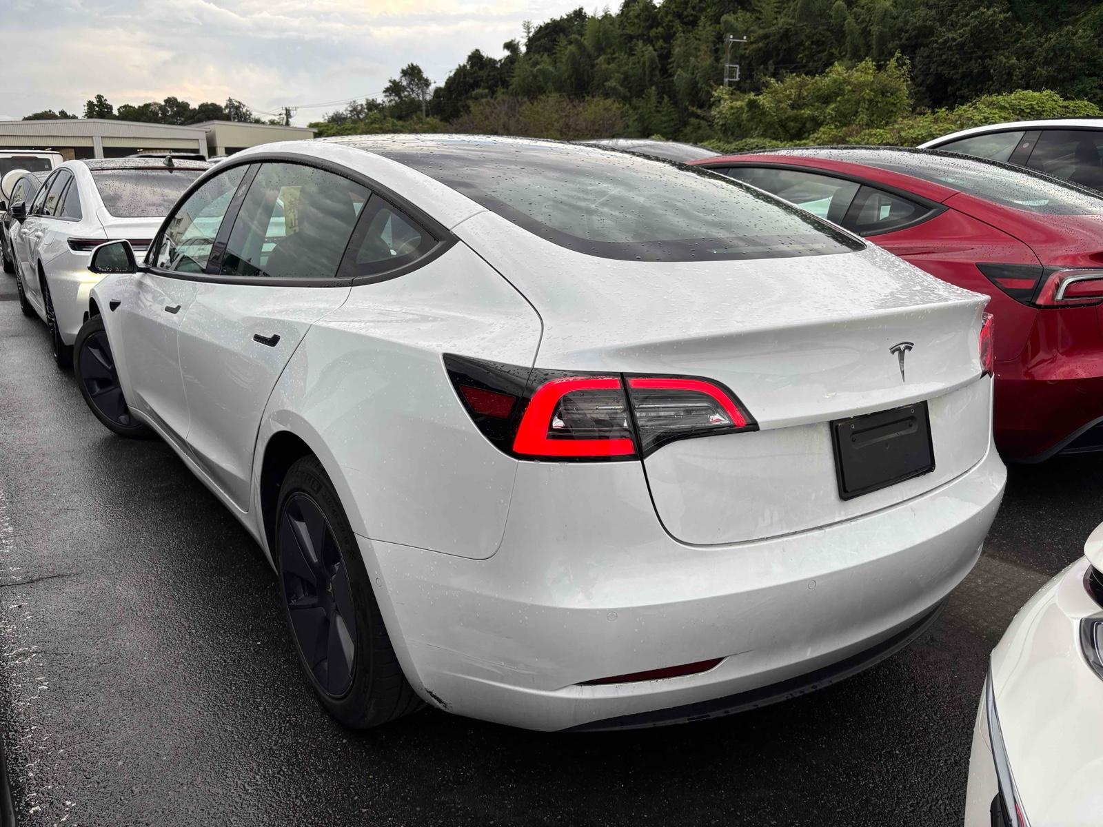 TESLA MODEL 3 STANDARD RANGE PLUS Image 2