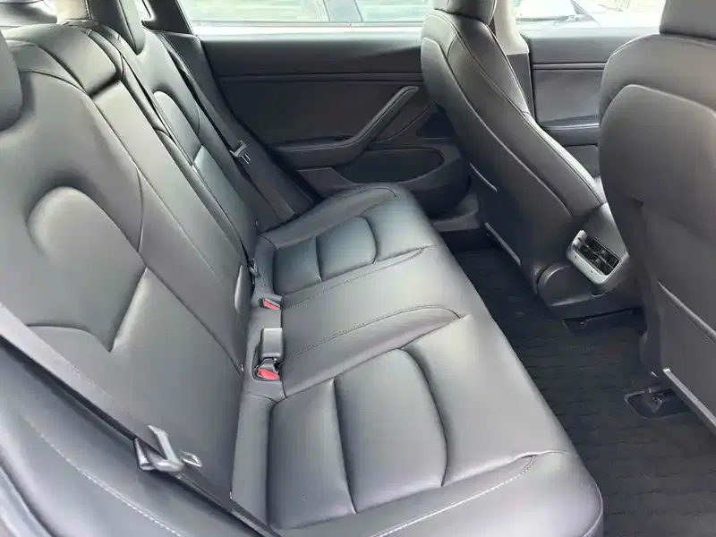 TESLA MODEL 3 STD RANGE PLUS Image 4