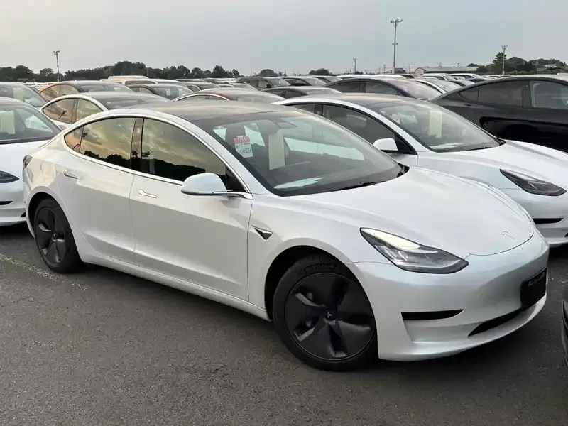 TESLA MODEL 3 STD RANGE PLUS Image 1