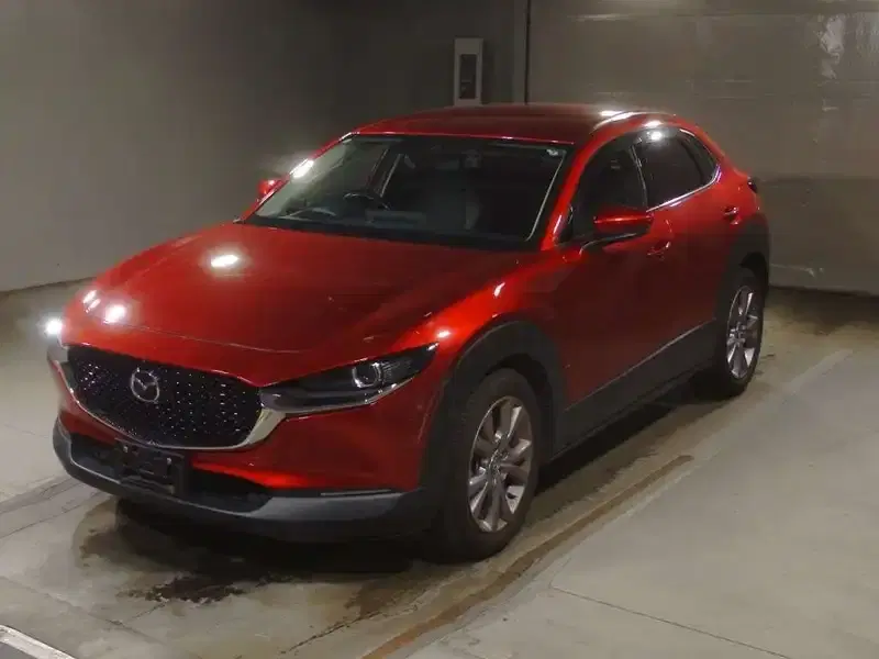 MAZDA CX-30 20S PROACTIVE TOURING SELECTION Image 3