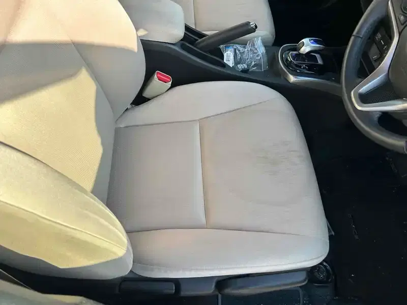 HONDA GRACE HYBRID LX Image 20