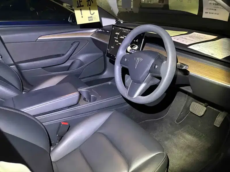 TESLA MODEL 3 4WD LONG RANGE Image 3