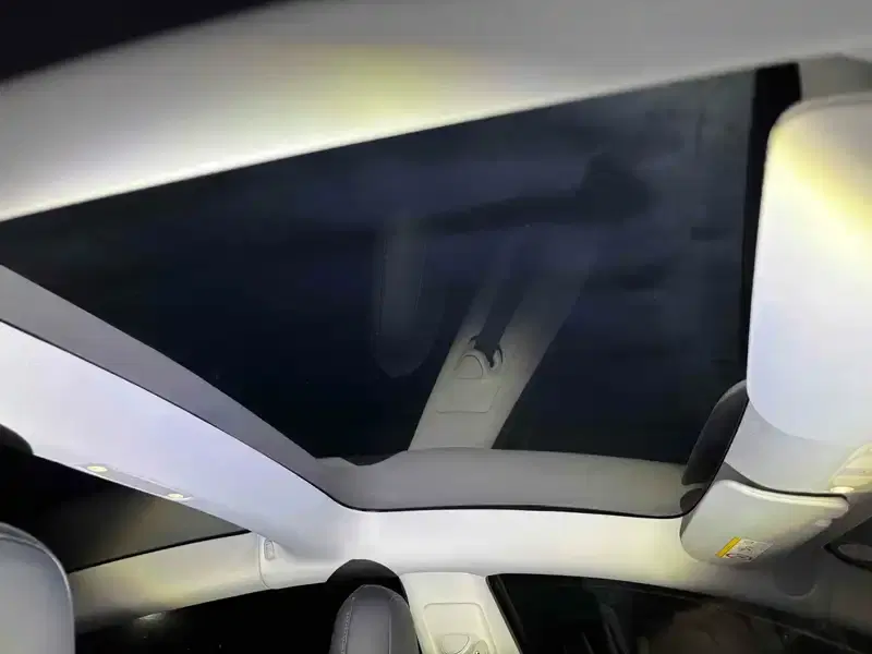 TESLA MODEL 3 4WD LONG RANGE Image 6