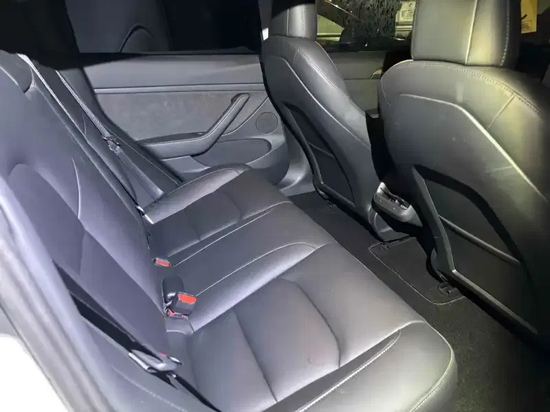 TESLA MODEL 3 4WD LONG RANGE Image 5