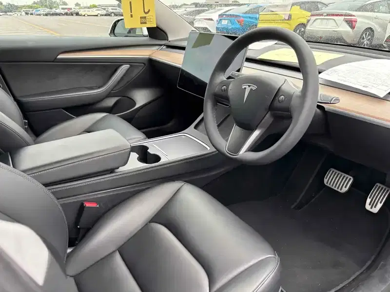 TESLA MODEL 3 STANDARD RANGE PLUS Image 3