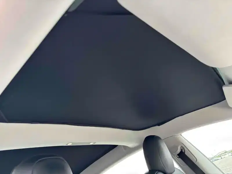 TESLA MODEL 3 STANDARD RANGE PLUS Image 5