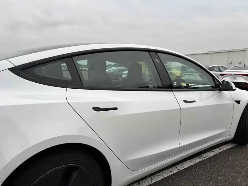 TESLA MODEL 3 STANDARD RANGE PLUS Image 11