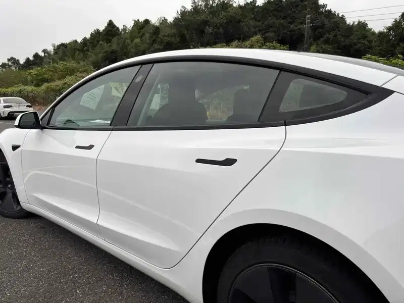 TESLA MODEL 3 STANDARD RANGE PLUS Image 12