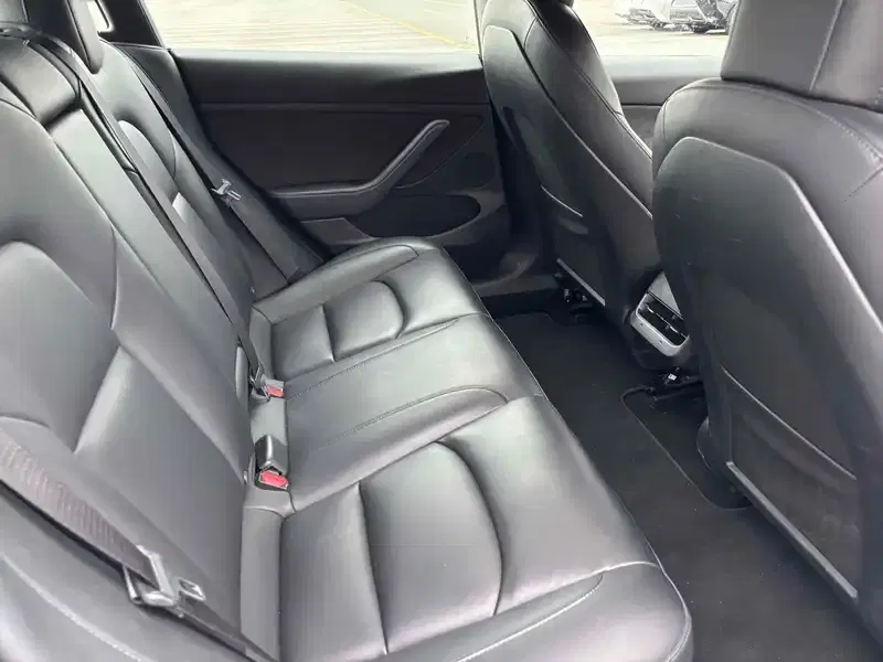 TESLA MODEL 3 STANDARD RANGE PLUS Image 4