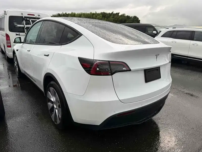 TESLA MODEL Y RWD Image 2