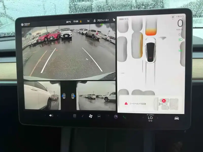 TESLA MODEL Y RWD Image 12
