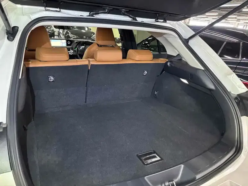LEXUS UX UX250H VERSION C Image 5