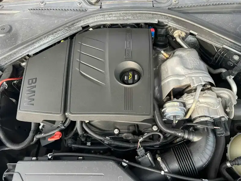 BMW 1-SERIES 116I M SPORTS Image 18
