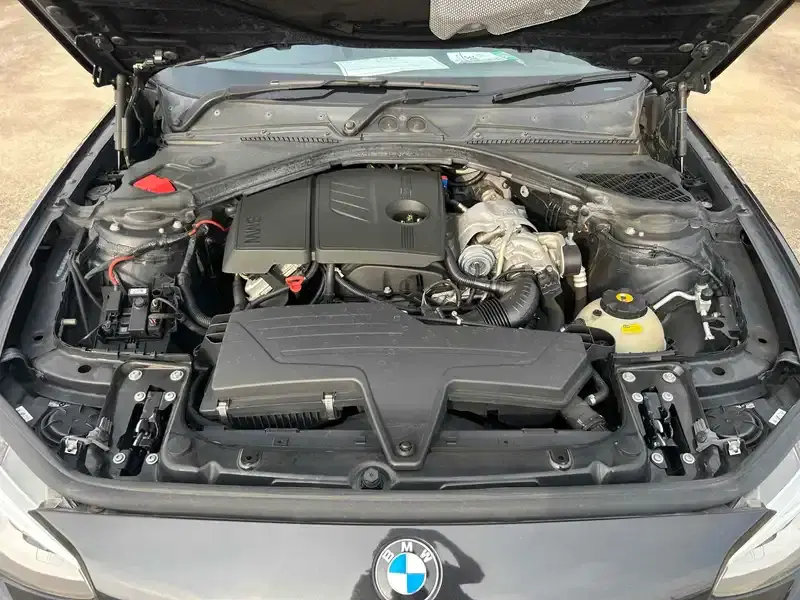 BMW 1-SERIES 116I M SPORTS Image 17