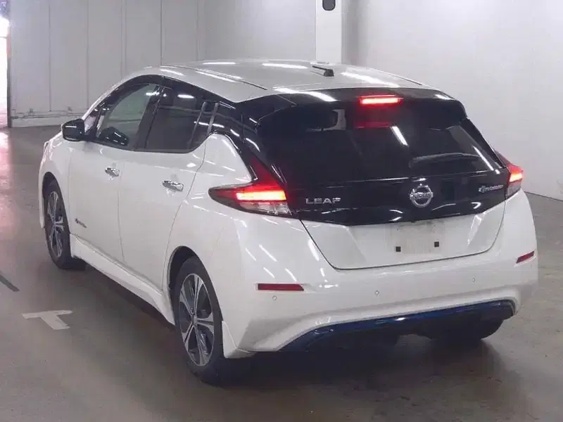 NISSAN LEAF X 10 THOUSAND UNITS MEMORIAL C Image 2