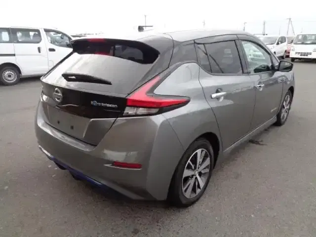 NISSAN LEAF X Image 2