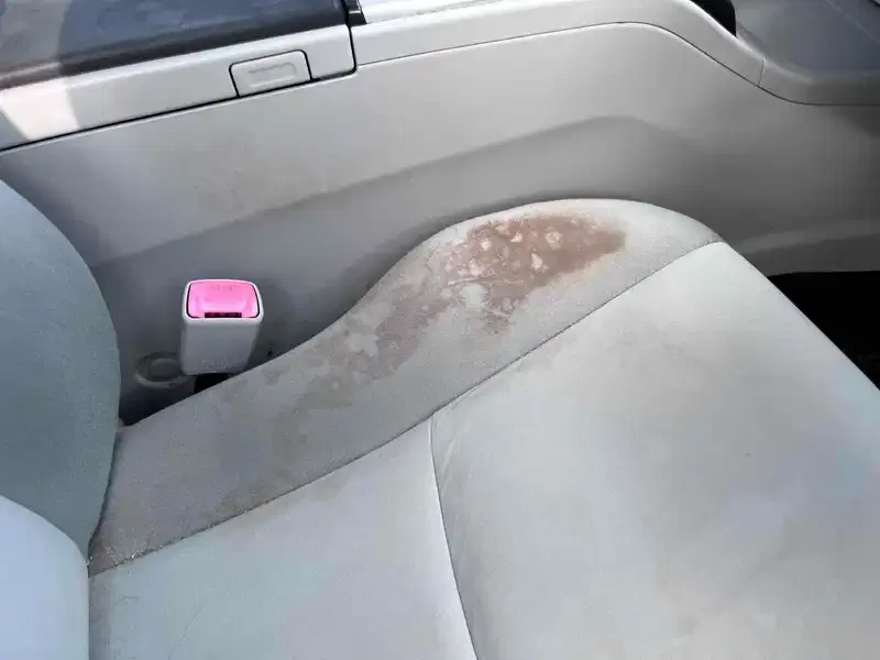 TOYOTA PRIUS ALPHA S Image 13